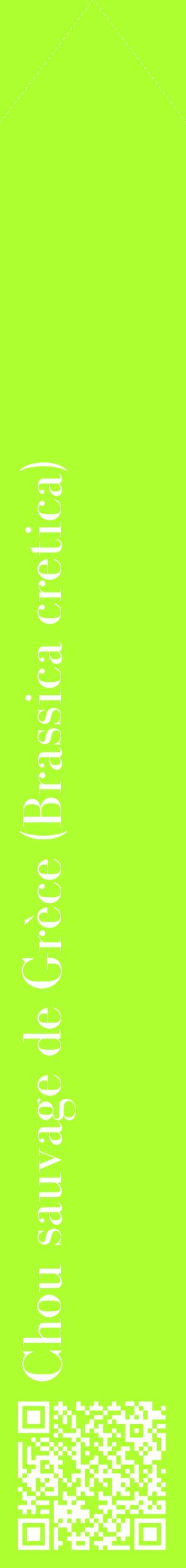 Étiquette de : Brassica cretica - format c - style blanche17_simplebod avec qrcode et comestibilité