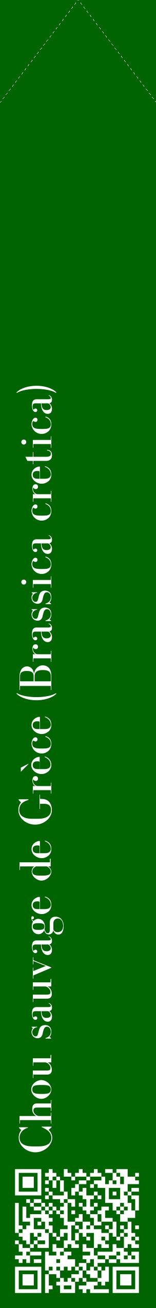 Étiquette de : Brassica cretica - format c - style blanche8_simplebod avec qrcode et comestibilité