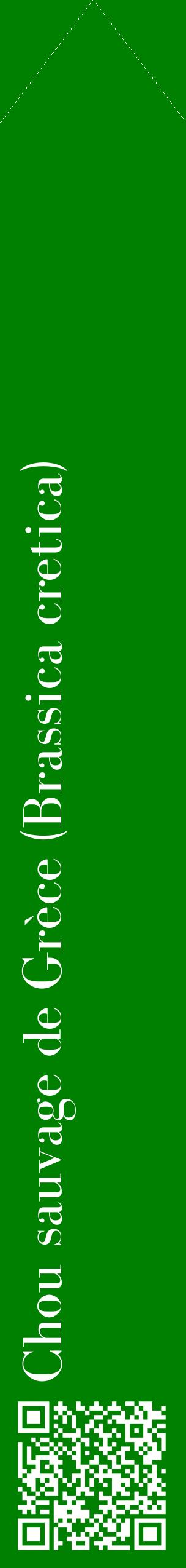 Étiquette de : Brassica cretica - format c - style blanche9_simplebod avec qrcode et comestibilité