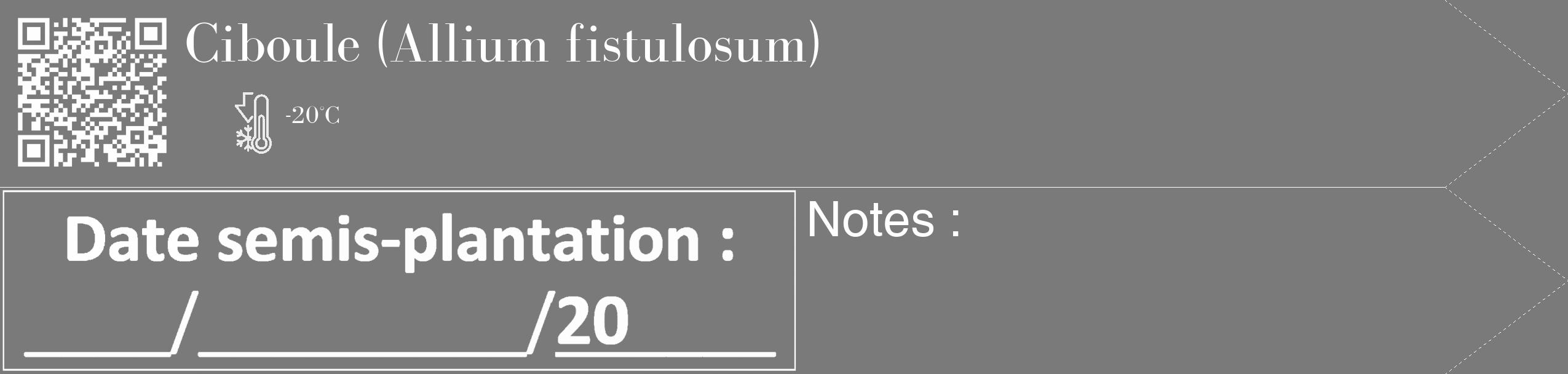 Étiquette de : Allium fistulosum - format c - style blanche3_simple_simplebod avec qrcode et comestibilité