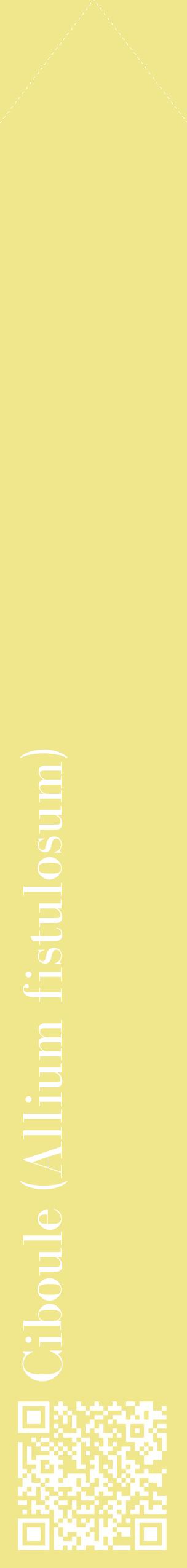 Étiquette de : Allium fistulosum - format c - style blanche20_simplebod avec qrcode et comestibilité