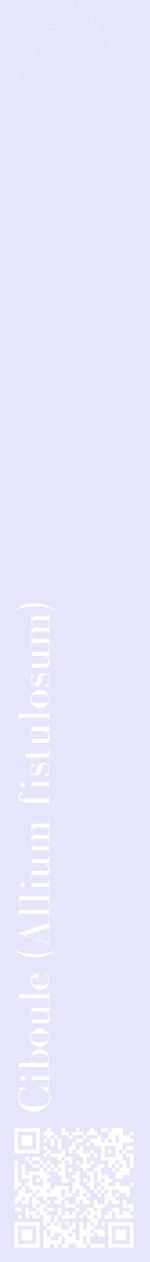 Étiquette de : Allium fistulosum - format c - style blanche55_simplebod avec qrcode et comestibilité