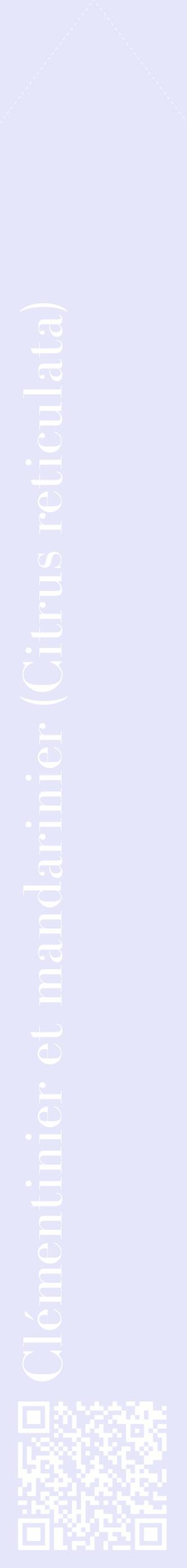 Étiquette de : Citrus reticulata - format c - style blanche55_simplebod avec qrcode et comestibilité