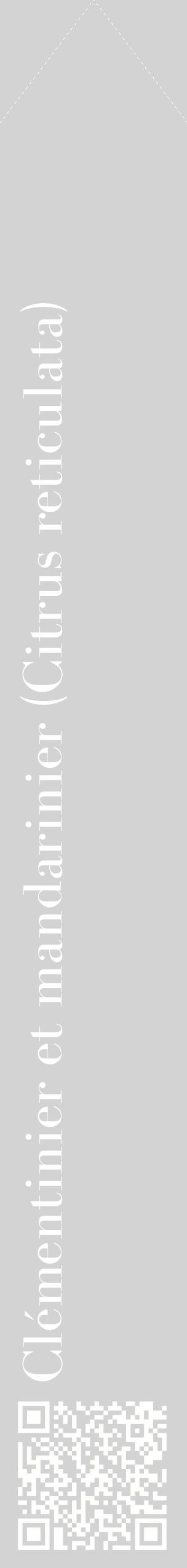 Étiquette de : Citrus reticulata - format c - style blanche56_simplebod avec qrcode et comestibilité