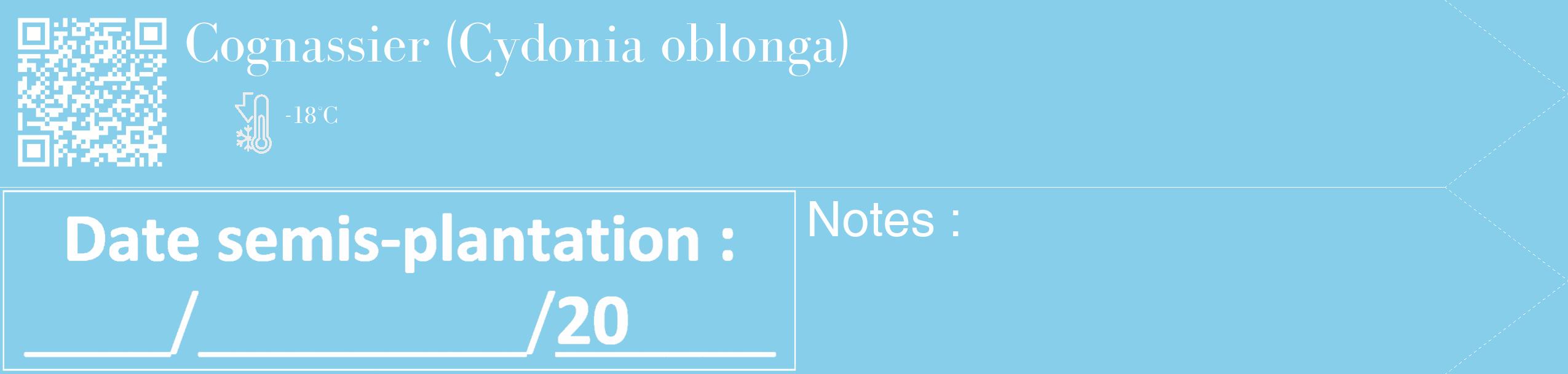 Étiquette de : Cydonia oblonga - format c - style blanche1_simple_simplebod avec qrcode et comestibilité