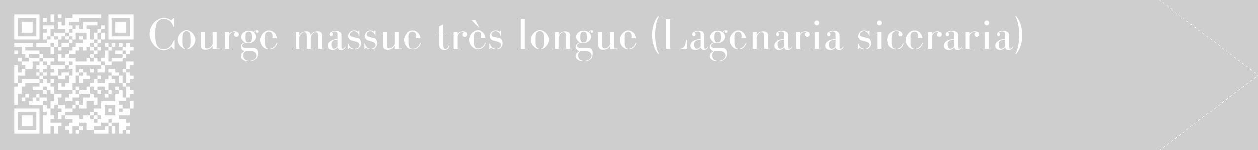 Étiquette de : Lagenaria siceraria - format c - style blanche17_simple_simplebod avec qrcode et comestibilité