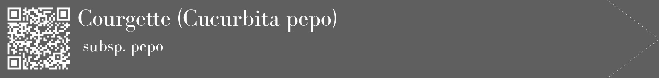 Étiquette de : Cucurbita pepo subsp. pepo - format c - style blanche10_simple_simplebod avec qrcode et comestibilité
