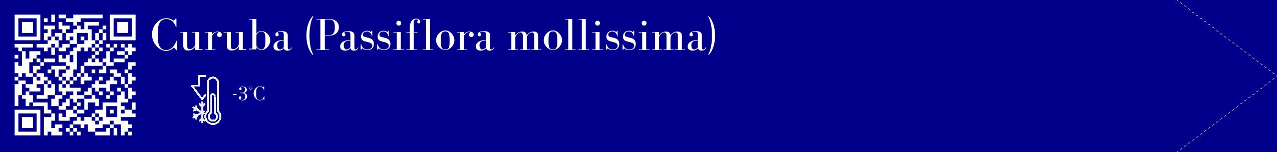 Étiquette de : Passiflora mollissima - format c - style blanche7_simple_simplebod avec qrcode et comestibilité