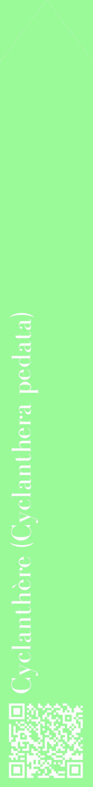 Étiquette de : Cyclanthera pedata - format c - style blanche14_simplebod avec qrcode et comestibilité