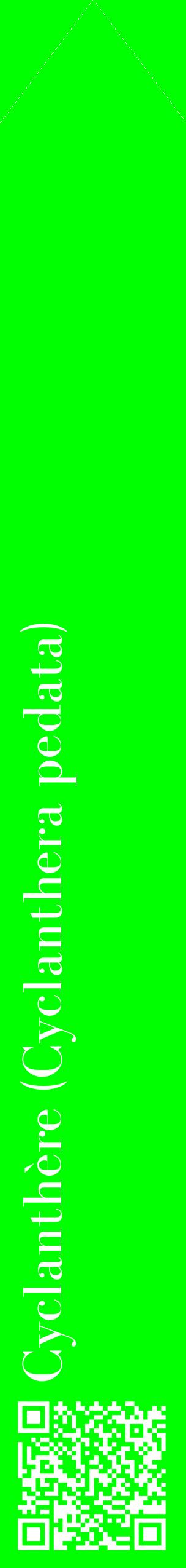 Étiquette de : Cyclanthera pedata - format c - style blanche16_simplebod avec qrcode et comestibilité