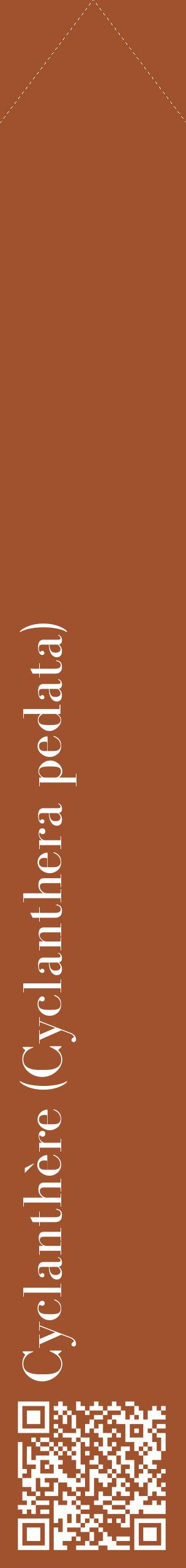 Étiquette de : Cyclanthera pedata - format c - style blanche32_simplebod avec qrcode et comestibilité