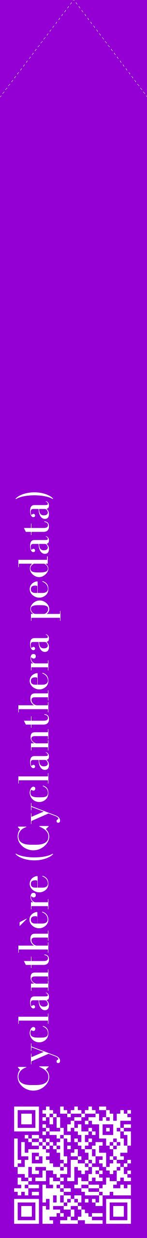 Étiquette de : Cyclanthera pedata - format c - style blanche48_simplebod avec qrcode et comestibilité