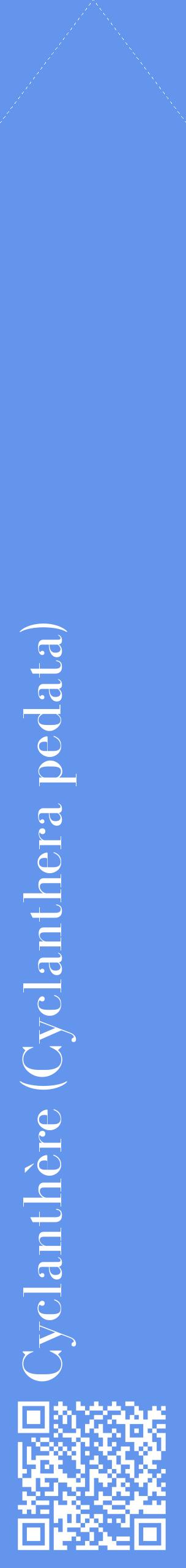 Étiquette de : Cyclanthera pedata - format c - style blanche4_simplebod avec qrcode et comestibilité