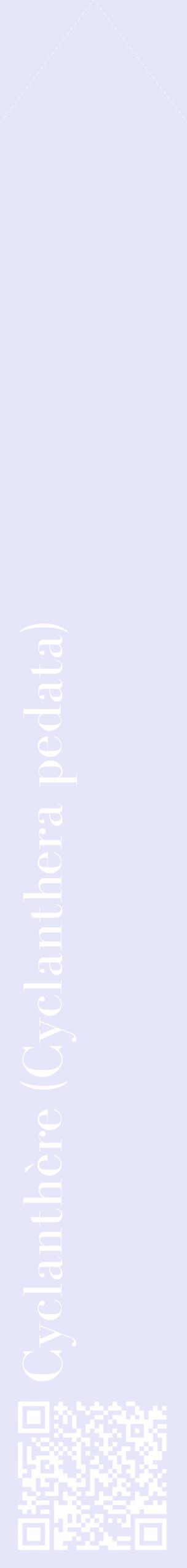 Étiquette de : Cyclanthera pedata - format c - style blanche55_simplebod avec qrcode et comestibilité