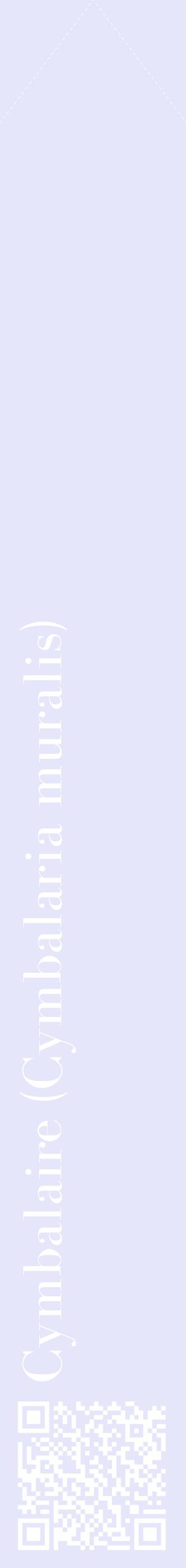 Étiquette de : Cymbalaria muralis - format c - style blanche55_simplebod avec qrcode et comestibilité
