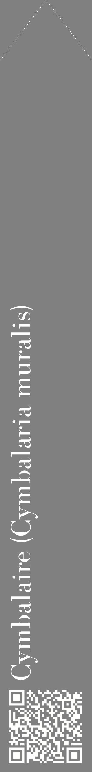 Étiquette de : Cymbalaria muralis - format c - style blanche57_simplebod avec qrcode et comestibilité