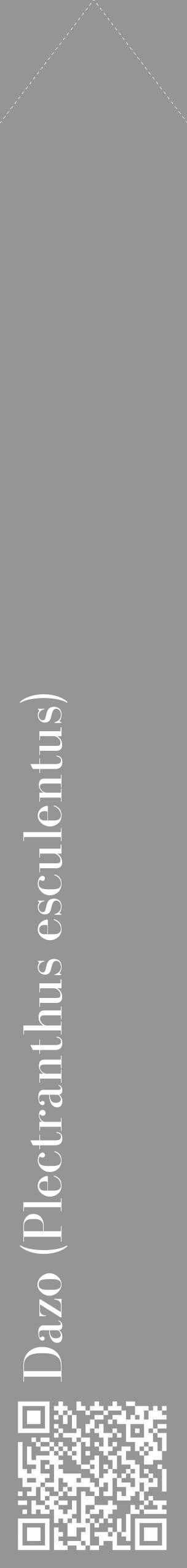 Étiquette de : Plectranthus esculentus - format c - style blanche16_simple_simplebod avec qrcode et comestibilité - position verticale