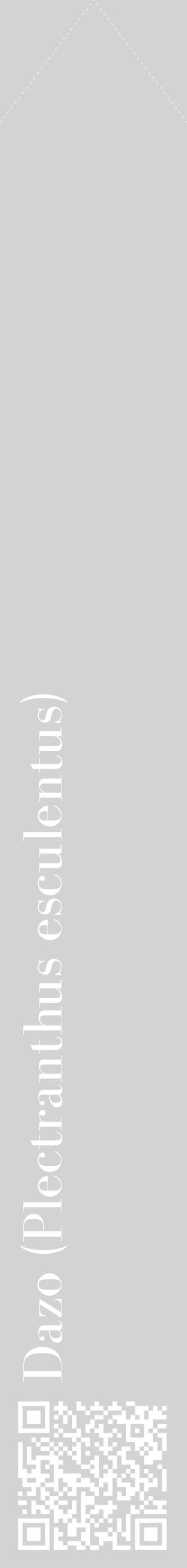 Étiquette de : Plectranthus esculentus - format c - style blanche56_simplebod avec qrcode et comestibilité