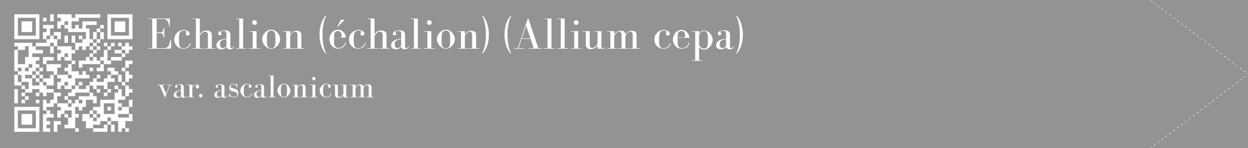 Étiquette de : Allium cepa var. ascalonicum - format c - style blanche44_simple_simplebod avec qrcode et comestibilité