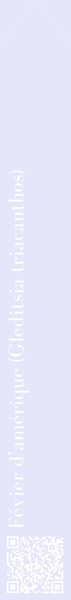 Étiquette de : Gleditsia triacanthos - format c - style blanche55_simplebod avec qrcode et comestibilité