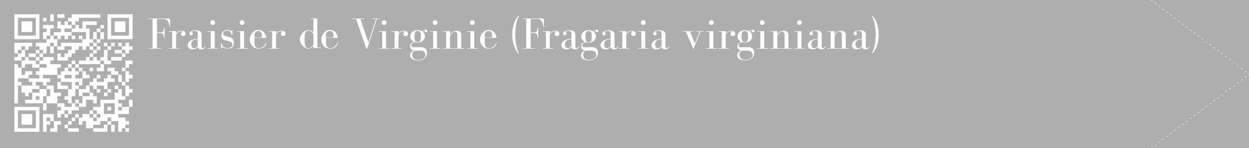 Étiquette de : Fragaria virginiana - format c - style blanche53_simple_simplebod avec qrcode et comestibilité