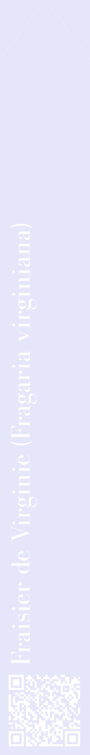Étiquette de : Fragaria virginiana - format c - style blanche55_simplebod avec qrcode et comestibilité