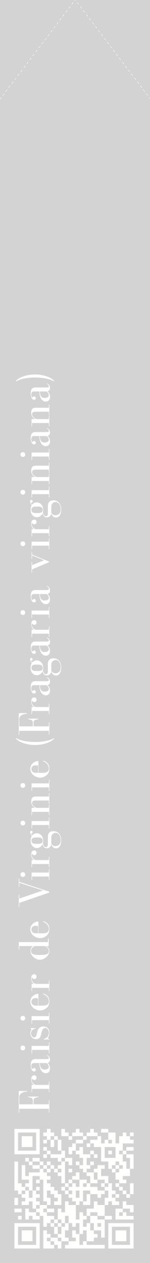 Étiquette de : Fragaria virginiana - format c - style blanche56_simplebod avec qrcode et comestibilité