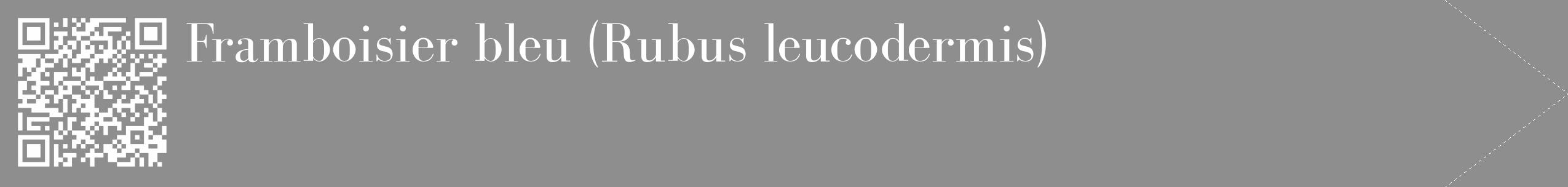 Étiquette de : Rubus leucodermis - format c - style blanche25_simple_simplebod avec qrcode et comestibilité