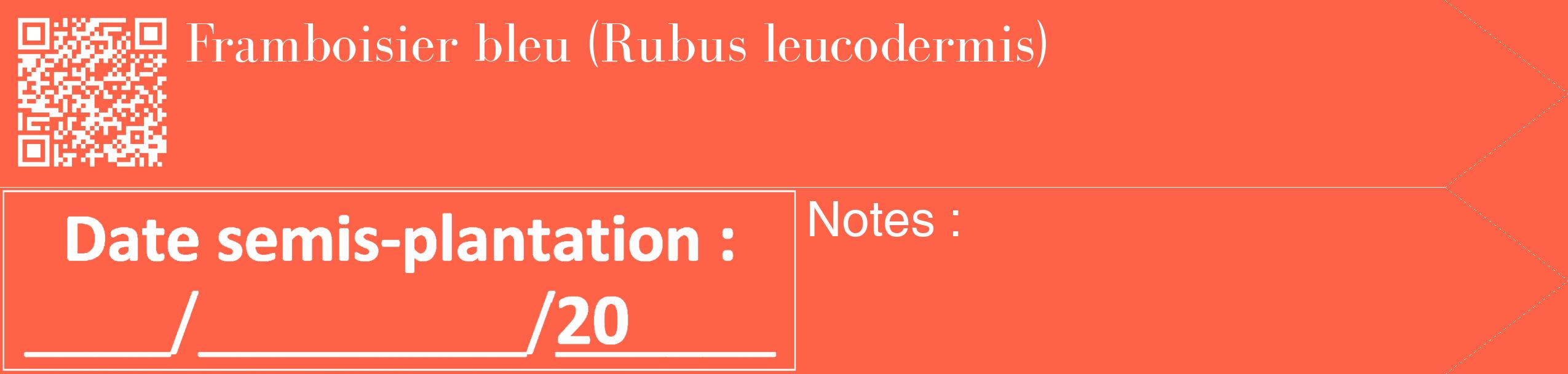 Étiquette de : Rubus leucodermis - format c - style blanche25_simple_simplebod avec qrcode et comestibilité
