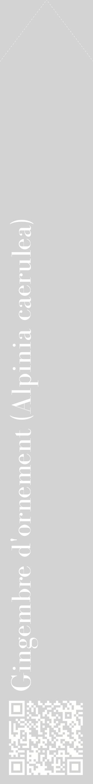 Étiquette de : Alpinia caerulea - format c - style blanche56_simplebod avec qrcode et comestibilité