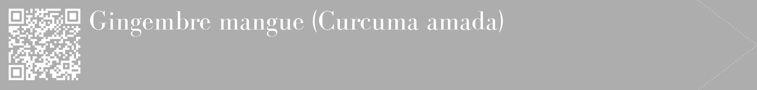 Étiquette de : Curcuma amada - format c - style blanche22_simple_simplebod avec qrcode et comestibilité
