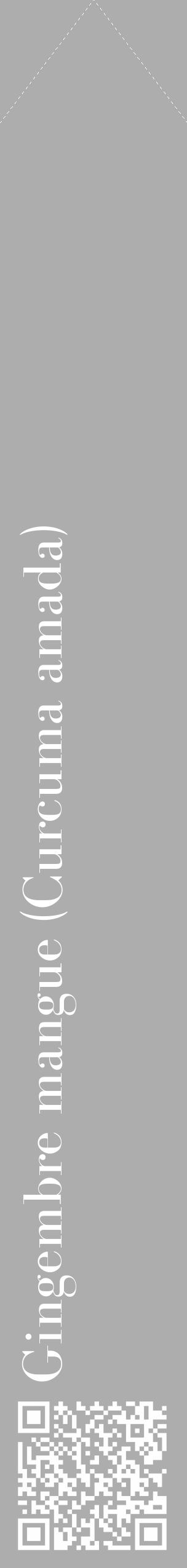 Étiquette de : Curcuma amada - format c - style blanche22_simple_simplebod avec qrcode et comestibilité - position verticale