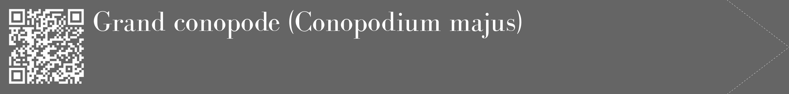 Étiquette de : Conopodium majus - format c - style blanche32_simple_simplebod avec qrcode et comestibilité
