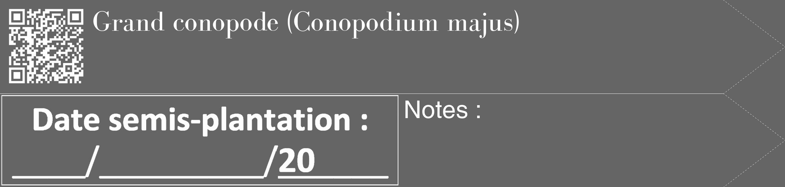 Étiquette de : Conopodium majus - format c - style blanche32_simple_simplebod avec qrcode et comestibilité