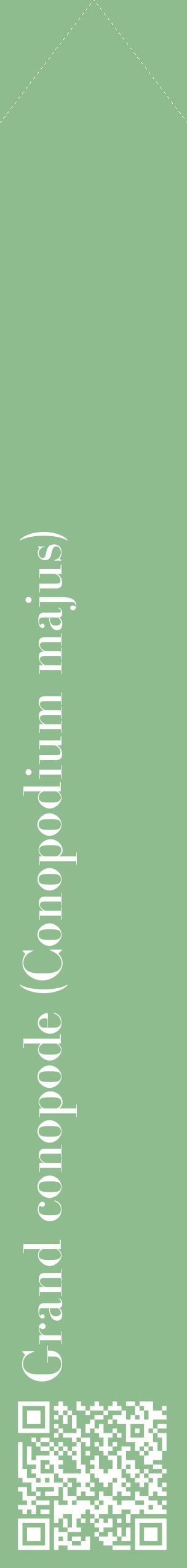 Étiquette de : Conopodium majus - format c - style blanche13_simplebod avec qrcode et comestibilité