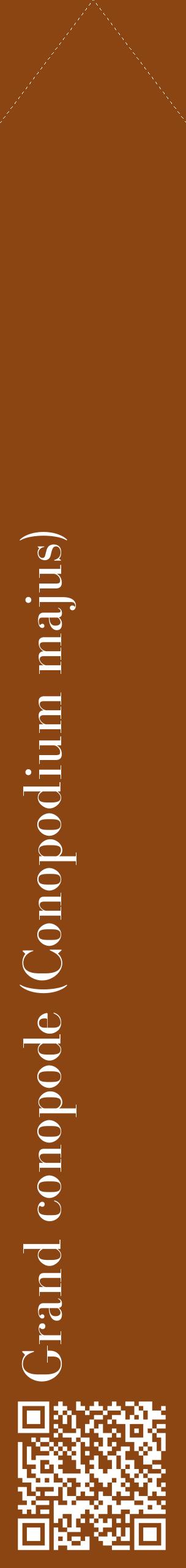 Étiquette de : Conopodium majus - format c - style blanche30_simplebod avec qrcode et comestibilité
