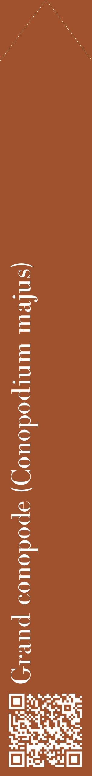 Étiquette de : Conopodium majus - format c - style blanche32_simplebod avec qrcode et comestibilité