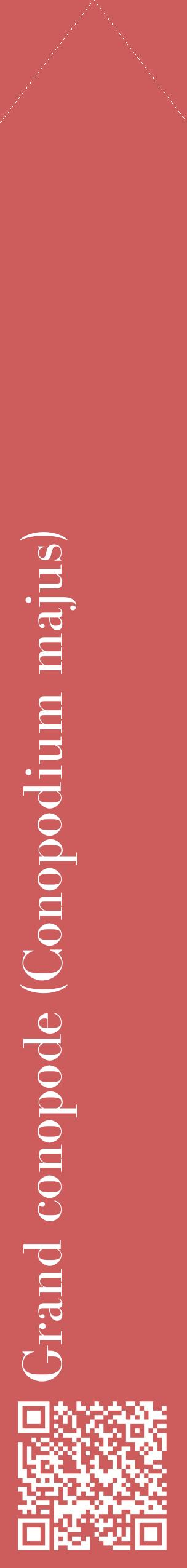 Étiquette de : Conopodium majus - format c - style blanche35_simplebod avec qrcode et comestibilité