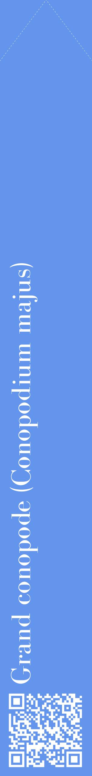 Étiquette de : Conopodium majus - format c - style blanche4_simplebod avec qrcode et comestibilité