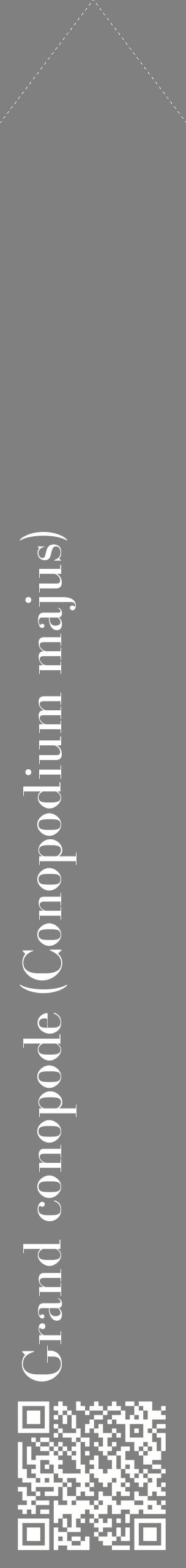 Étiquette de : Conopodium majus - format c - style blanche57_simplebod avec qrcode et comestibilité