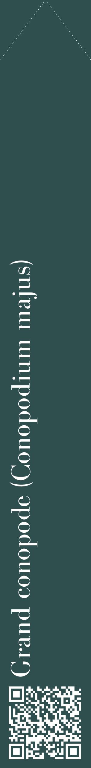Étiquette de : Conopodium majus - format c - style blanche58_simplebod avec qrcode et comestibilité