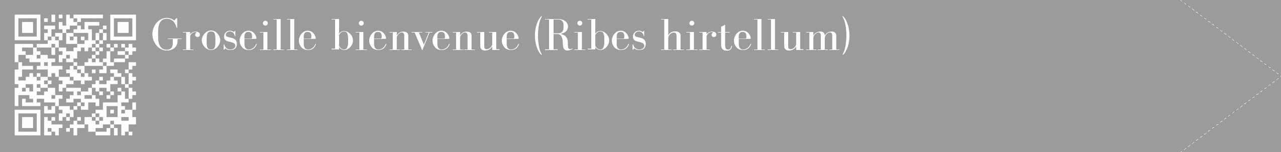 Étiquette de : Ribes hirtellum - format c - style blanche52_simple_simplebod avec qrcode et comestibilité