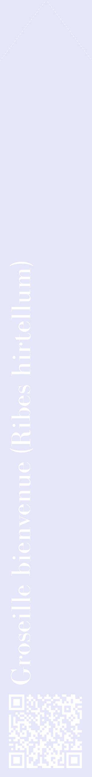 Étiquette de : Ribes hirtellum - format c - style blanche55_simplebod avec qrcode et comestibilité