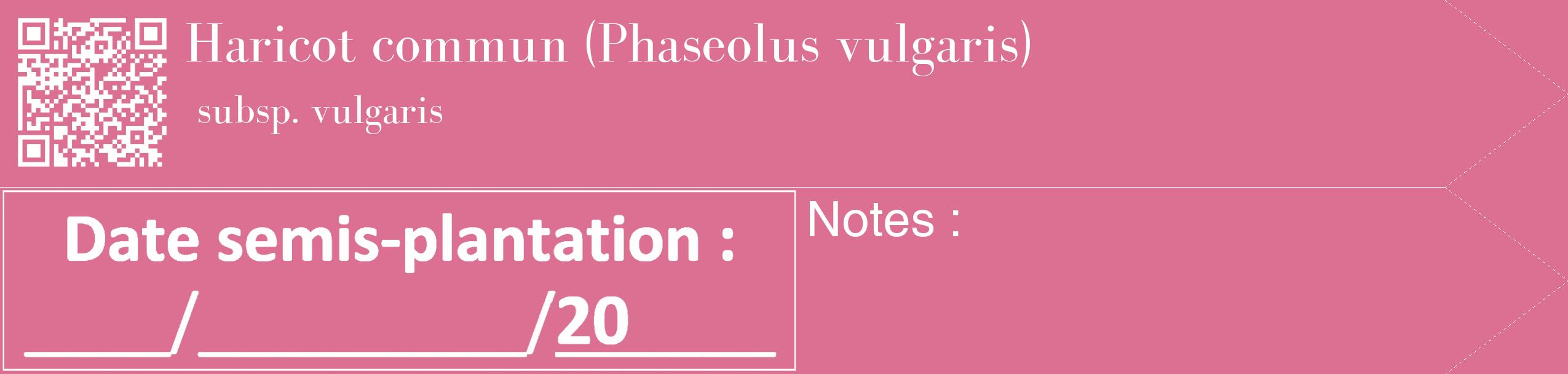 Étiquette de : Phaseolus vulgaris subsp. vulgaris - format c - style blanche44_simple_simplebod avec qrcode et comestibilité