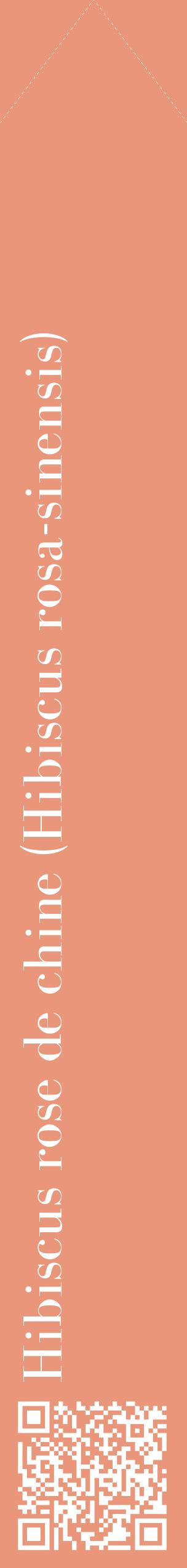 Étiquette de : Hibiscus rosa-sinensis - format c - style blanche37_simplebod avec qrcode et comestibilité