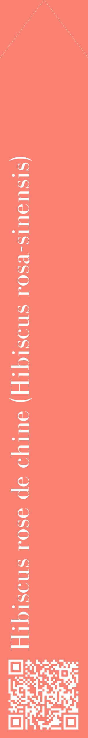 Étiquette de : Hibiscus rosa-sinensis - format c - style blanche38_simplebod avec qrcode et comestibilité
