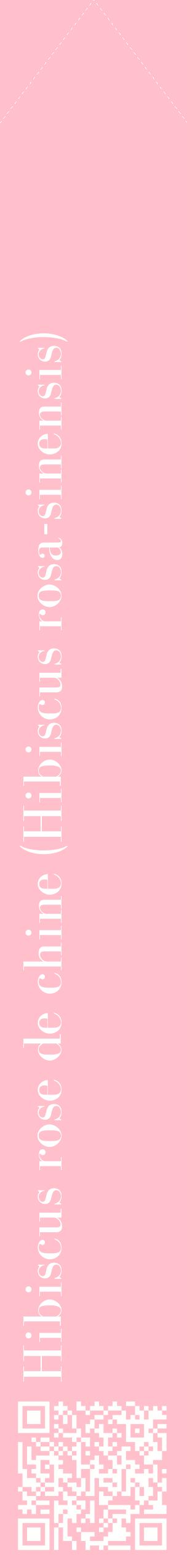 Étiquette de : Hibiscus rosa-sinensis - format c - style blanche40_simplebod avec qrcode et comestibilité