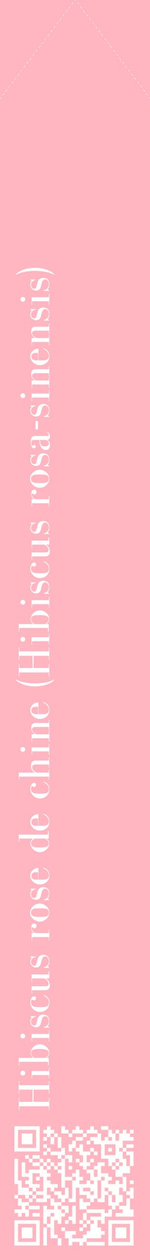 Étiquette de : Hibiscus rosa-sinensis - format c - style blanche41_simplebod avec qrcode et comestibilité