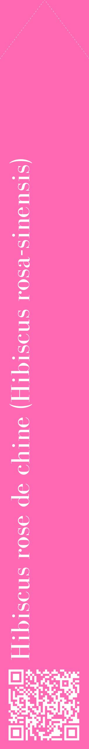 Étiquette de : Hibiscus rosa-sinensis - format c - style blanche42_simplebod avec qrcode et comestibilité