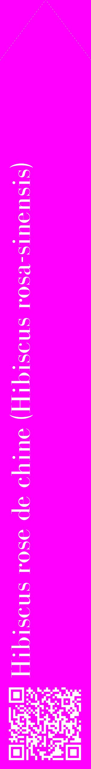 Étiquette de : Hibiscus rosa-sinensis - format c - style blanche51_simplebod avec qrcode et comestibilité